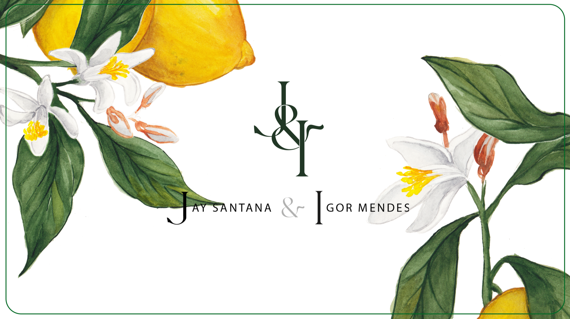 01 · Logotipo principal